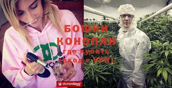 ПСИЛОЦИБИНОВЫЕ ГРИБЫ Волоколамск