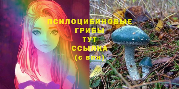 ГАЛЛЮЦИНОГЕННЫЕ ГРИБЫ Няндома