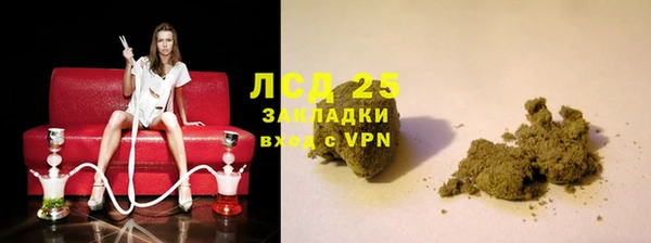 ГАЛЛЮЦИНОГЕННЫЕ ГРИБЫ Няндома