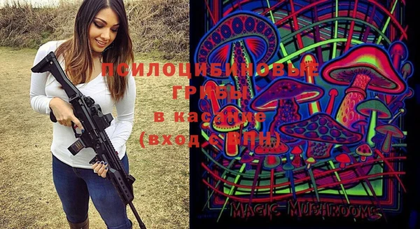 мяу мяу мука Нягань