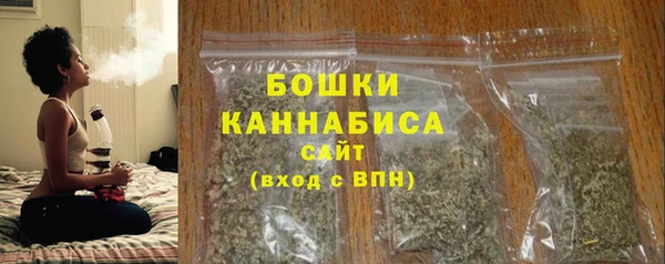 ГАЛЛЮЦИНОГЕННЫЕ ГРИБЫ Елабуга