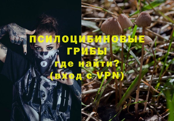 мяу мяу мука Нягань