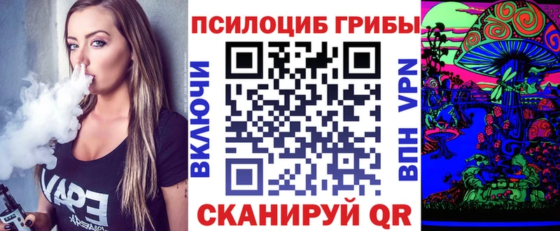 Псилоцибиновые грибы мицелий  купить закладку  Палласовка 